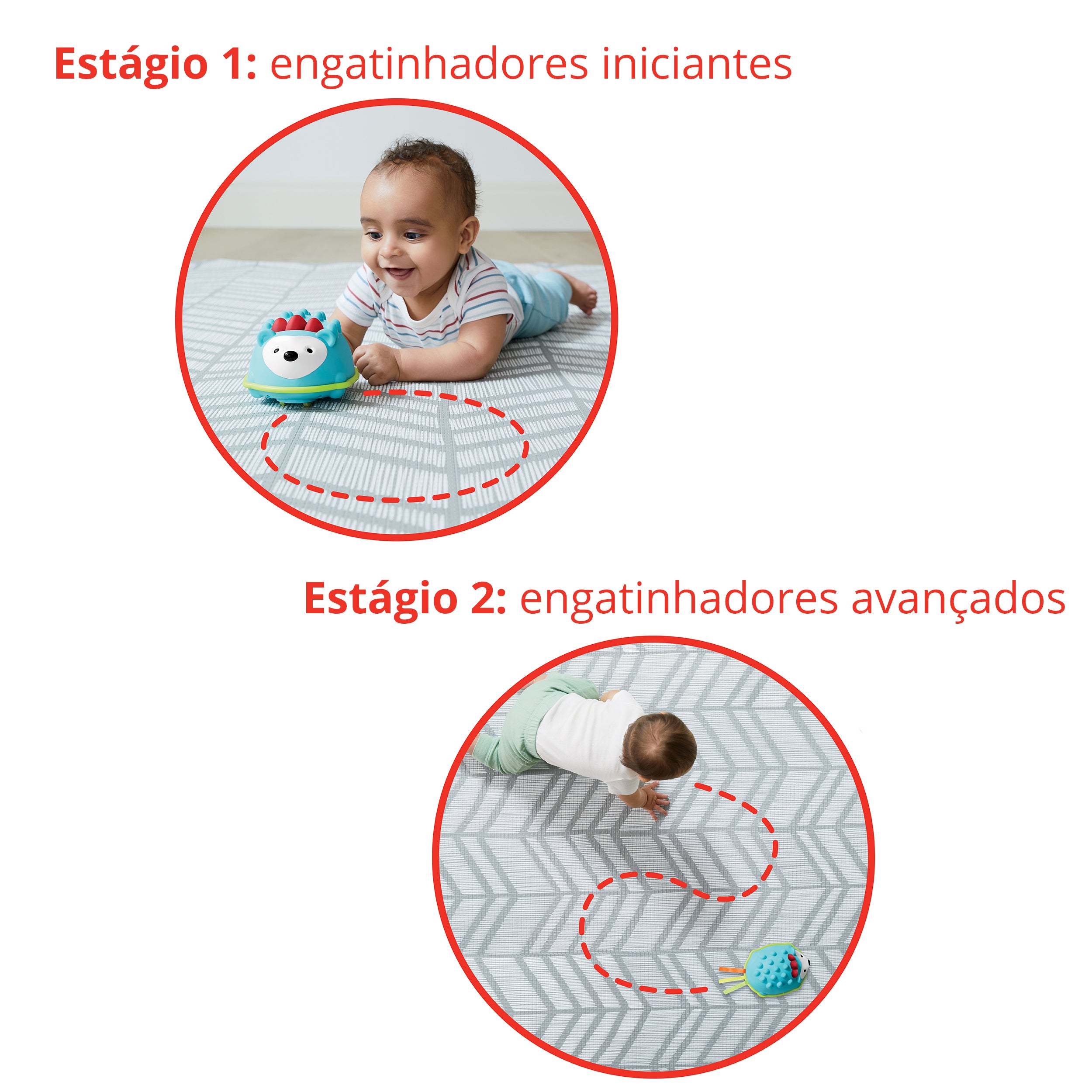 Brinquedo Engatinhar Porco-Espinho Skip Hop c/ som